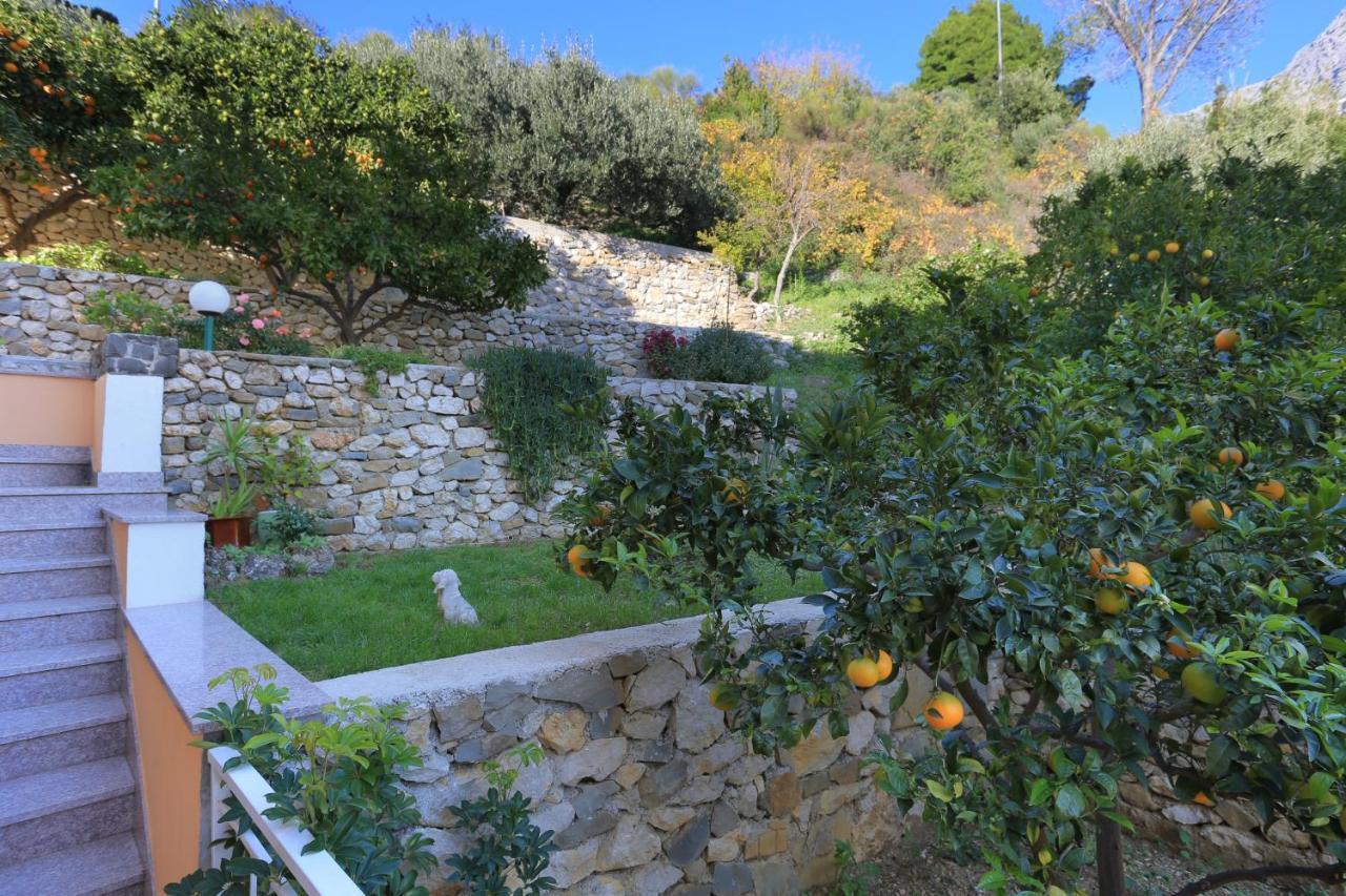 Apartments By The Sea Podgora, Makarska - 2594 外观 照片
